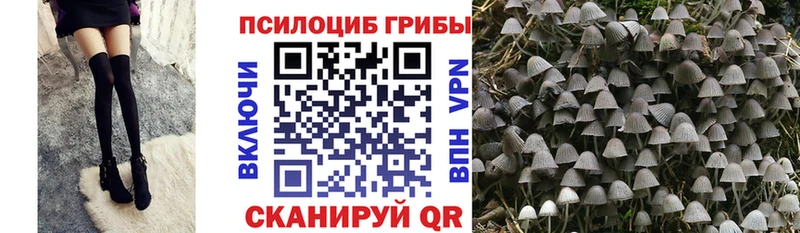 Галлюциногенные грибы Psilocybe Первоуральск